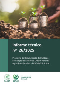 Informe Técnico nº 26 – Desenrola Rural