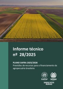 Informe Técnico nº 28 – Plano Safra 2025-2026