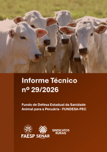 Informe Técnico nº 29/2026 – Fundo de Defesa Estadual da Sanidade Animal para a Pecuária – FUNDESA-PEC