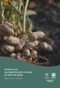 Junho/2026 – 9º Levantamento da safra de grãos