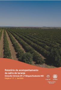 Setembro/2026 – 2º Levantamento da safra de laranja