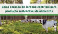 Baixa emissão de carbono contribui para produção sustentável de alimentos