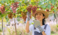 Agro Sempre BANNER