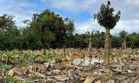 FAESP Informa: FEAP/BANAGRO oferece crédito emergencial para os produtores do Vale do Ribeira após os estragos causados pelas chuvas e ventos fortes
