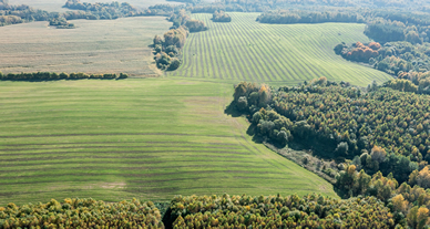 Faesp E Saa Conquistam Fim Da Burocracia Na Reserva Legal Marcando Uma Vit Ria Para O Campo