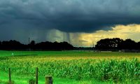 Produtores rurais paulistas devem ficar em alerta para chuvas fortes, temporais e rajadas de vento em todo o Estado