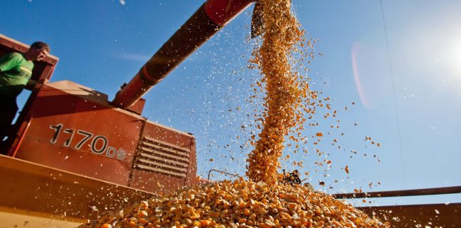 Levantamento mapeia custos de produção de grãos na região de Guaíra