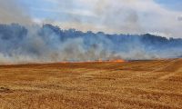 Fórum Sustentabilidade Faesp – Palestra 2: Nexo de Causalidades em queimadas nas plantações