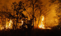 FAESP solicita ações emergenciais ao governador em defesa dos agricultores atingidos pelos incêndios