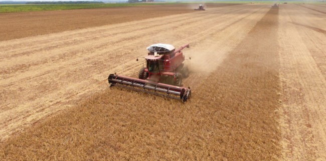 Faesp divulga novo relatório sobre o Valor Bruto da Produção agropecuária