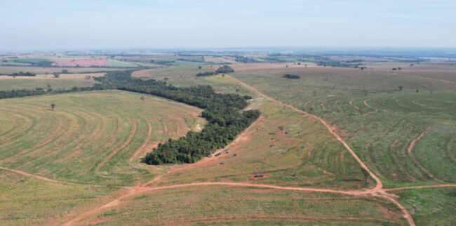 Faesp reitera apoio aos agropecuaristas paranaenses