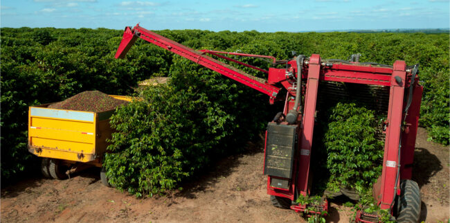 Balança comercial do agronegócio paulista registra saldo positivo de US$ 1,9 bilhão em novembro