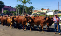 Setor leiteiro paulista se reúne em Batatais com festa de quase meio século