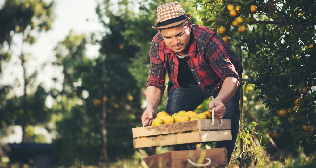 Relatórios de emprego