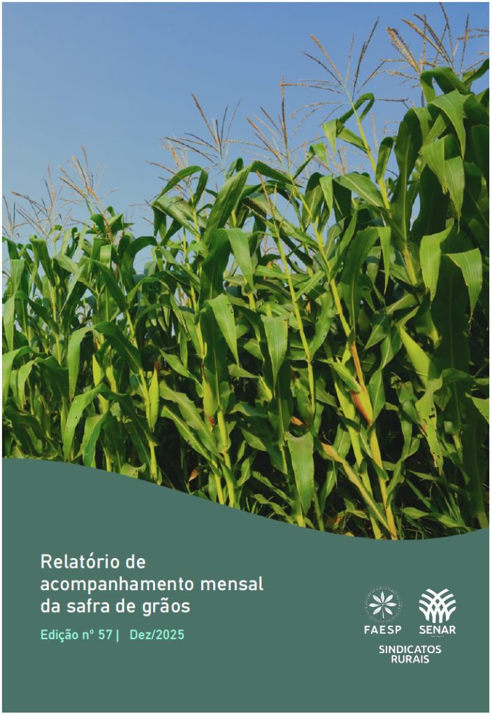 Capa do Relatório de acompanhamento mensal da safra de grãos com imagem de plantação de milho direcionando para o arquivo do relatório.