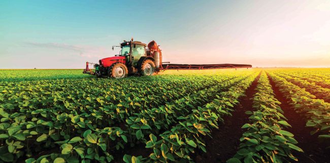 Agronegócio paulista tem resultado robusto em 2025