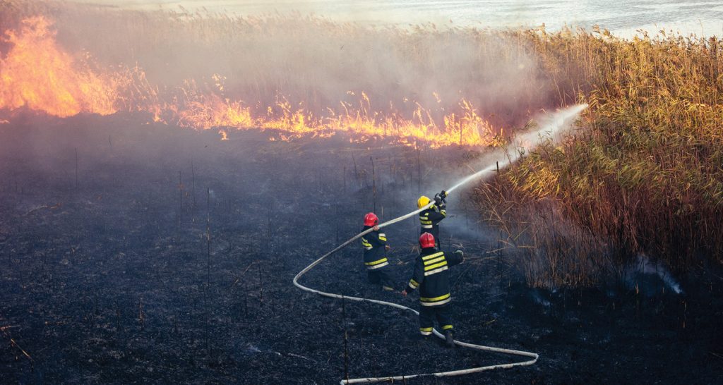 Imagem ilustrativa que mostra  bombeiros em equipamento de proteção, usando mangueiras de água para combater um incêndio em um campo de grama ou juncos secos. 