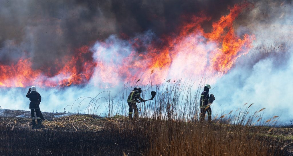 Imagem ilustrativa de bombeiros combatendo um grande incêndio florestal com chamas altas e fumaça escura em um campo de grama seca.