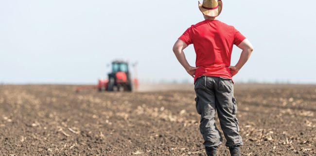 Emprego formal recuou em dezembro, mas agropecuária paulista encerrou 2025 com saldo positivo