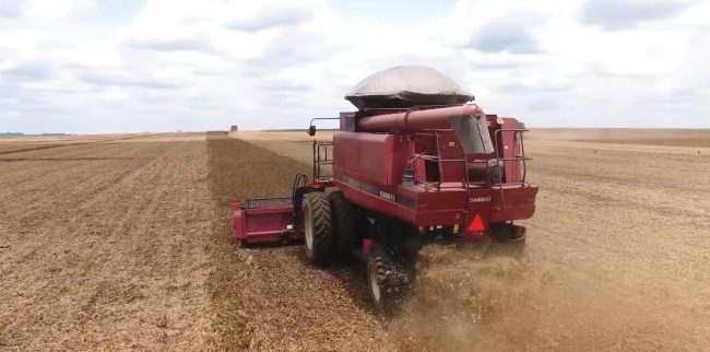 Agropecuária puxa resultado positivo do PIB 2025