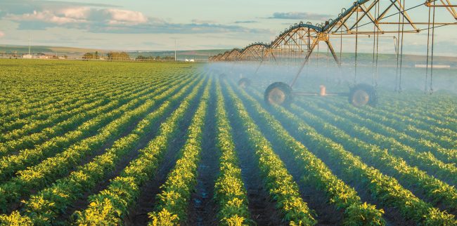 A quatro meses do fim, Plano Safra 2025/26 registra desembolso de 55,3% do montante programado para o crédito rural