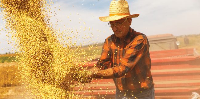 Admissões no setor agropecuário crescem 78,6% entre dezembro e janeiro no Brasil