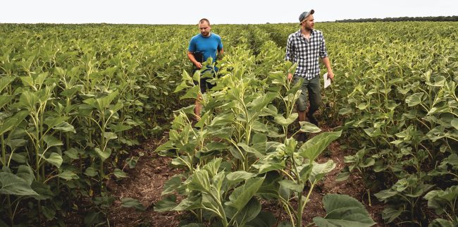 Alteração nas alíquotas do Funrural entra em vigor a partir de abril