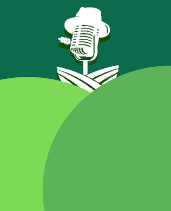 Modernização da Emissão de Guias