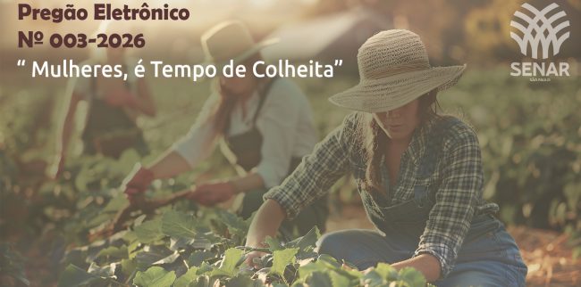 Pregão Eletrônico Nº 003-2026