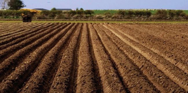 Desembolso do crédito rural tem retração de 10,4% no Brasil