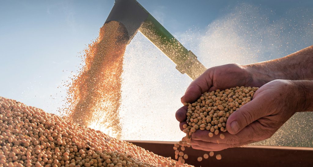 A imagem mostra uma colheita de grãos agrícolas em um dia ensolarado.