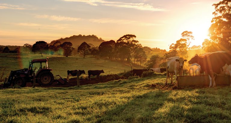 Crédito rural recua no país e em São Paulo durante o Plano S...