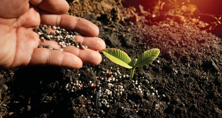 Redução global na oferta de fertilizantes e preços mais alto...