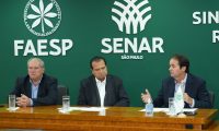 Comissão de Cana da Faesp debate desafios econômicos e regulatórios da safra 2026/27