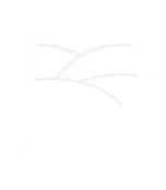 CAESP