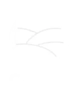 CAESP