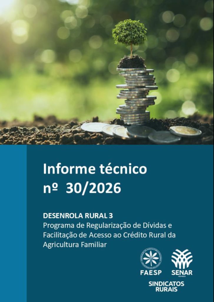 Capa do informe técnico Desenrola Rural 3