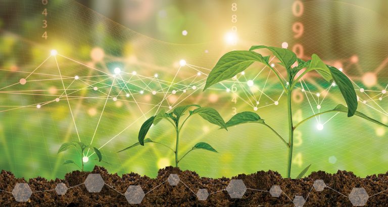 Agropecuária enfrenta desafios em 2026