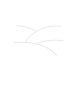 CAESP