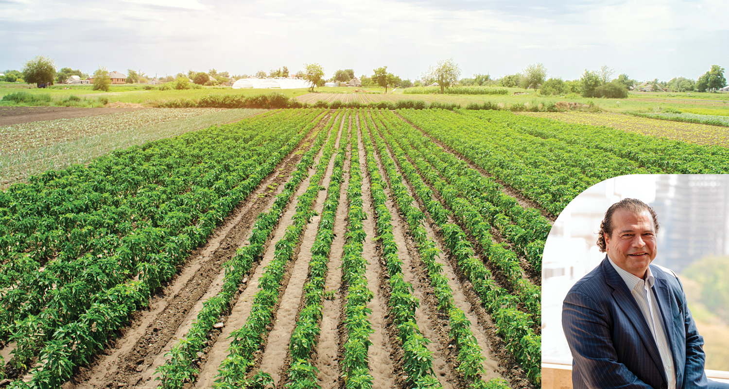 Plano Safra ignora realidade do campo e amplia preocupação com o futuro da produção. Produtores afirmam que crédito não resolve o crescente endividamento e cobram uma política agrícola permanente para garantir previsibilidade ao setor.