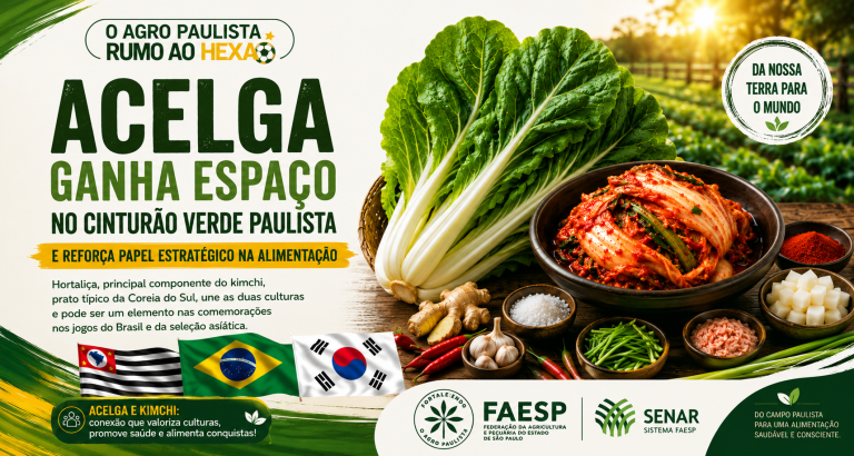 Acelga ganha papel estratégico na alimentação 