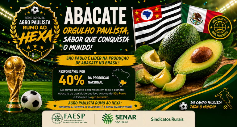 Abacate Paulista é o Craque das Exportações 