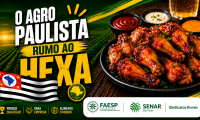 Frango paulista entra em campo e fortalece exportações 