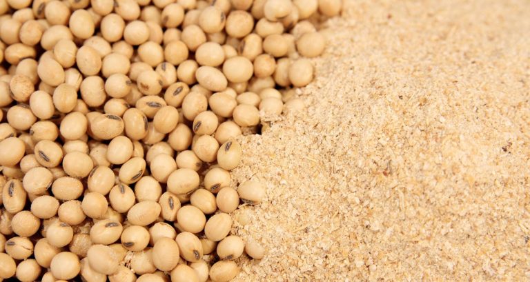 Balança Comercial: Agronegócio paulista registra superávit d...
