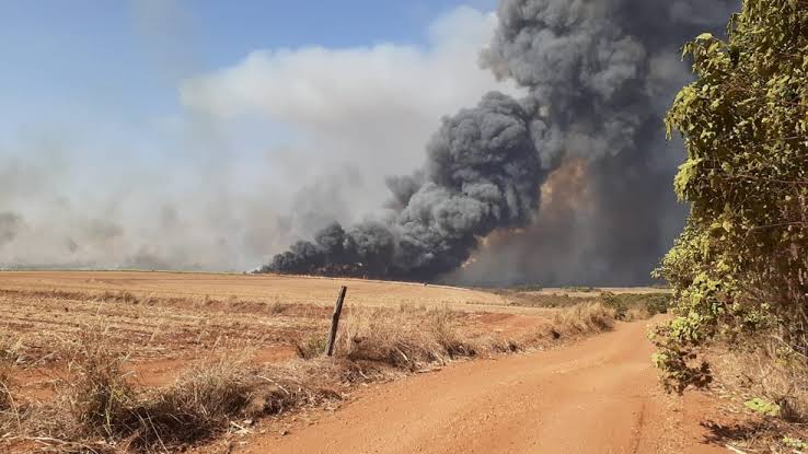 Faesp reforça alerta contra incêndios rurais em São Paulo