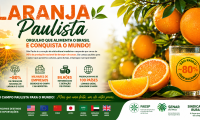 Laranja Paulista Aproxima Culturas e Conecta o Mundo 