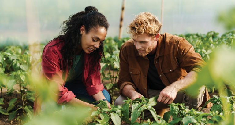 Sou + Agro convida o público urbano para uma imersão de três...