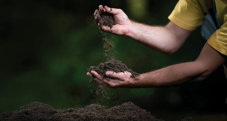 Do broto ao alimento na mesa global: O orgulho de ser agricu...
