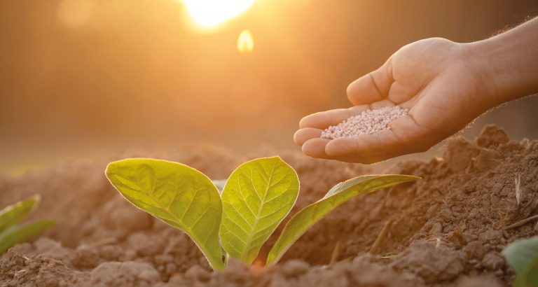 Glifosato lidera queda entre insumos agropecuários em maio e...