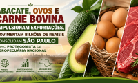 Três regiões paulistas mostram a força do agro que alimenta o Brasil e conquista o mundo